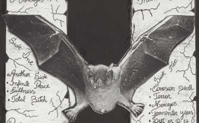 Bat from the backcover of the LP
